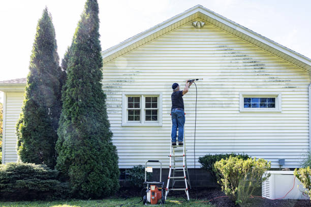 Best Patio and Deck Pressure Washing  in Hammonton, NJ